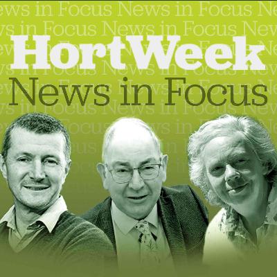 Which horticultural products and plants won at Four Oaks, and why?