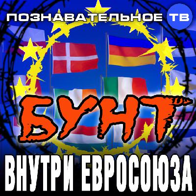 Бунт внутри Евросоюза (Познавательное ТВ, Евгений Фёдоров)