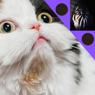 The Science of Teaching Others to Treat You Well AND How to Elevate Others...