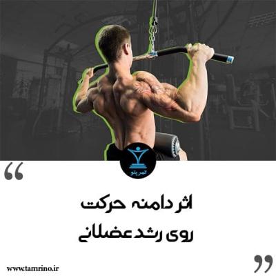 اثر دامنه حرکت روی رشد عضلانی (هوش مصنوعی)