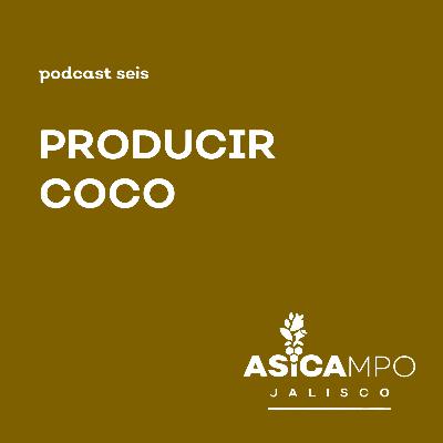 6 | Producir coco