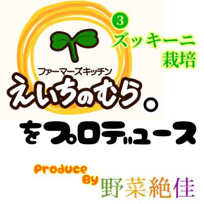 ズッキーニ栽培❶【えいちのむらをプロデュース】 ズッキーニ栽培❶【えいちのむらをプロデュース】