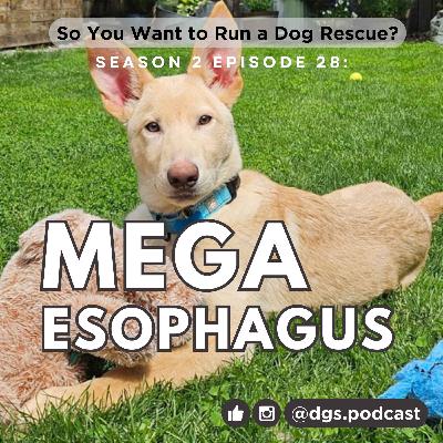 2.28: Mega Esophagus - Special Needs, but Make it Vertical!