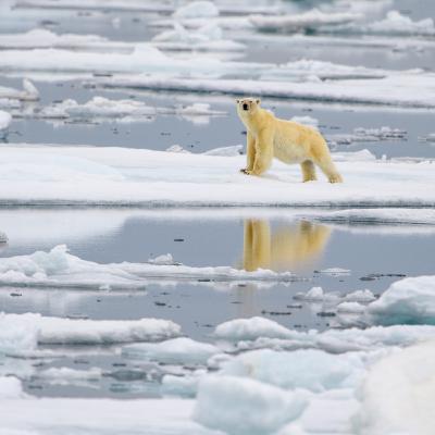 Ice Cap Melting Affects Global Timekeeping Systems