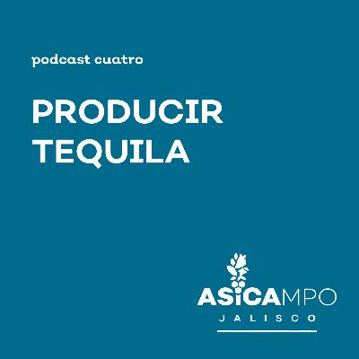 4 | Producir tequila
