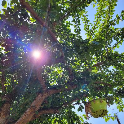 Episode 83 - Martyn and Kasia: Weather fear, Metaverse and spirituality