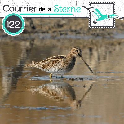 CDLS#122 : Spécial botulisme aviaire