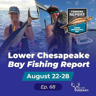 Yellowfin Tuna technique deep dive, kids camp and Cobia Tournament recap Yellowfin Tuna technique deep dive, kids camp and Cobia Tournament recap