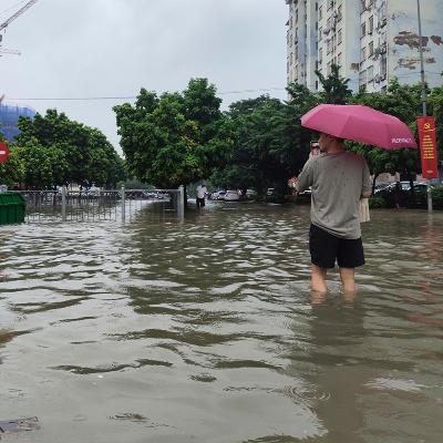Bô hành qua phố: Hà Nội những ngày mưa bão