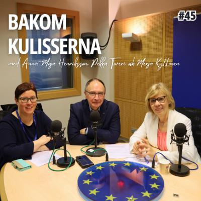 Ukraina, Venäjän uhka ja Euroopan puolustaminen - Bakom kulisserna med Anna-Maja Henriksson #45