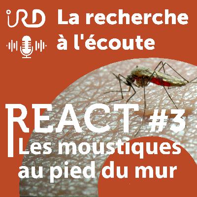 La pulvérisation intra-domiciliaire, ou les moustiques au pied du mur La pulvérisation intra-domiciliaire, ou les moustiques au pied du mur