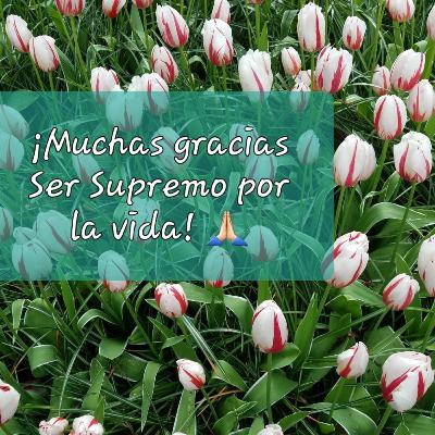 🕉"No estas obligado a sufrir"