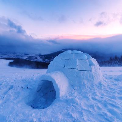 Resilience Resilience