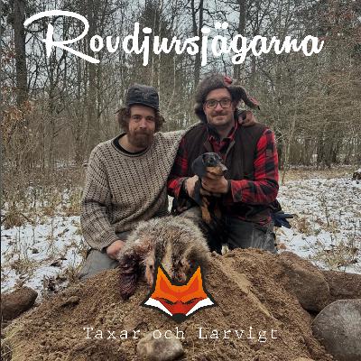 Rovdjursjägarna - Taxar och Larvigt