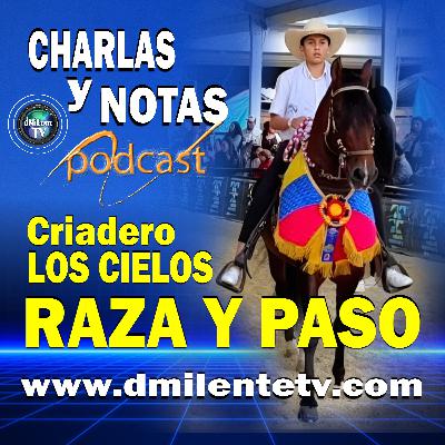 Raza y Paso Los Secretos de los Caballos Criollos Colombianos