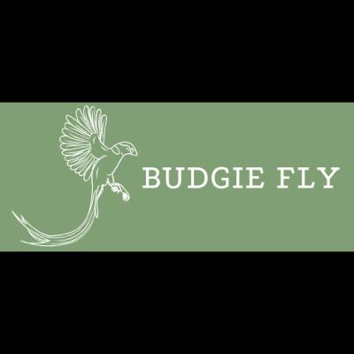Enhancing Your Budgie's Well-Being: A Comprehensive Guide Enhancing Your Budgie's Well-Being: A Comprehensive Guide