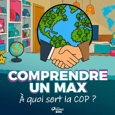 Pourquoi la COP 30 déçoit ?