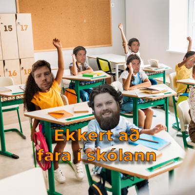 208 - Aftur í skólann