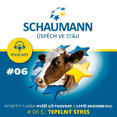 #Díl 6.: Schaumann - TEPELNÝ STRES