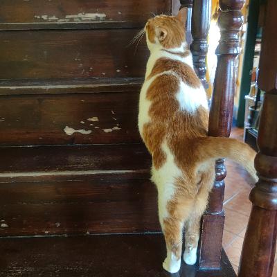 所谓长大,就是不断体验羞耻再努力克服羞耻的过程 所谓长大,就是不断体验羞耻再努力克服羞耻的过程