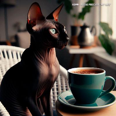 ASMR - Атмосфера на кухне и готовка кофе