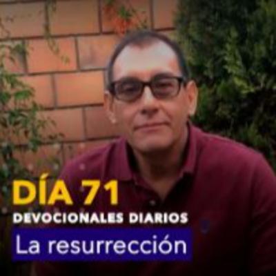 Día 71 - Devocionales basados en el evangelio de Marcos: Sentado a los pies del Señor