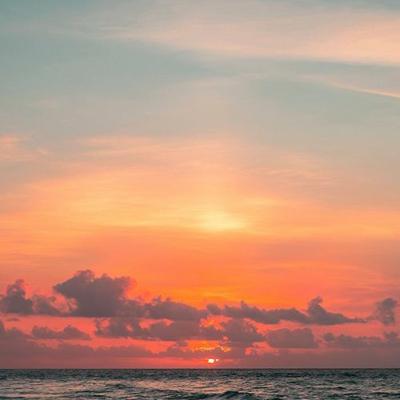 सफर का अंत. The end. WINE&POETRY WITH ONKAR GUJRAL.