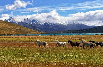 Viaje a la Patagonia chilena: guanacos, glaciares y rutas ecuestres en Torres del Paine Viaje a la Patagonia chilena: guanacos, glaciares y rutas ecuestres en Torres del Paine