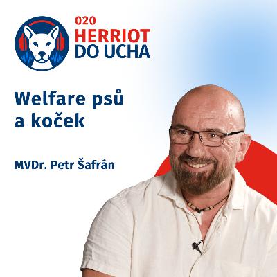 #20 Aby se jim s námi žilo lépe - welfare psů a koček - MVDr. Petr Šafrán 🐕🐈‍⬛
