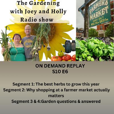 Episode 1527:  S10E6 The best herbs to grow this year, Why shopping at a farmer markets matters garden Q&A - The Gardening with Joey and Holy Radio Show