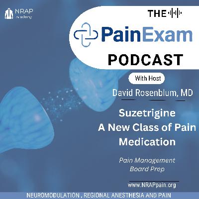 Will JOURNAVX™ (Suzetrigine) appear on the Anesthesia Boards