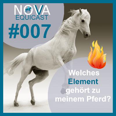 007 Welches Element gehört zu meinem Pferd?