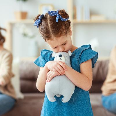 Co-Parenting With Confidence: Navigating Timesharing Challenges Co-Parenting With Confidence: Navigating Timesharing Challenges