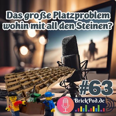 Folge 63 - Das große Platzproblem – wohin mit all den Steinen?