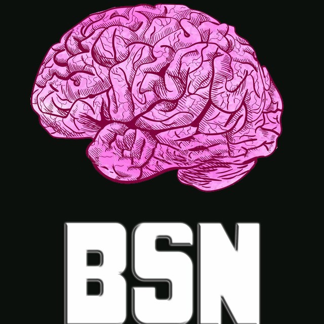 Brainstorm Nerd - BSN