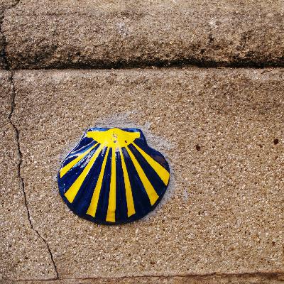 Capítulo 85 - Conversación en el Camino de Santiago 🎙️ - Galicia 🐮, licor café 🥃 y orquestas 🥳  - C1  C2 - Español Real - Descubriendo España 19 🇪🇦