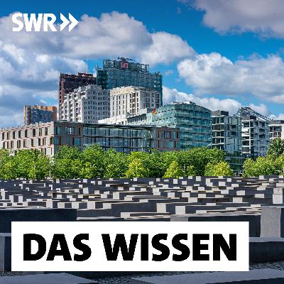 Deutsche Erinnerungskultur – Blinde Flecken der Aufarbeitung