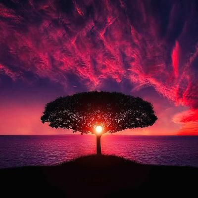 La cura - conversazione con Maria Vittoria Marelli