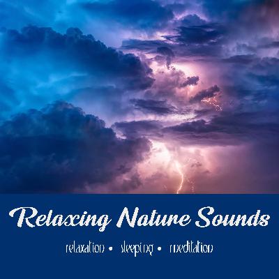 Hard Rain (For Sleep) | Three Hours