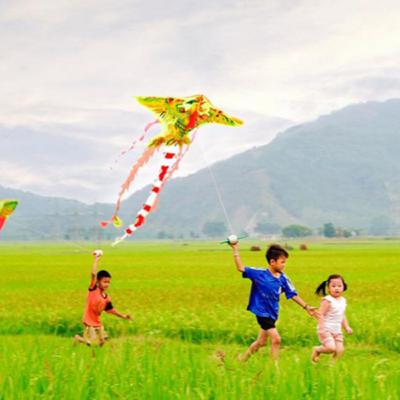 Tập 7 Ký ức tuổi thơ - Ký ức mùa diều