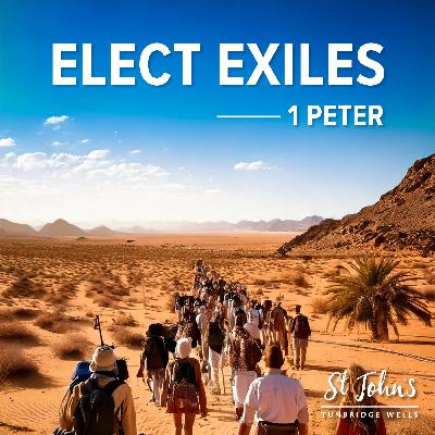 1 Peter Series - 5 | 1 Peter 2:11-17 | Tom Nash