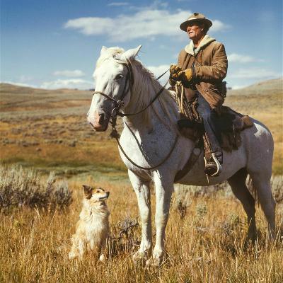 The Joy Of The Hills