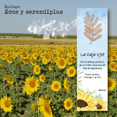 Epílogo: Ecos y serendipias