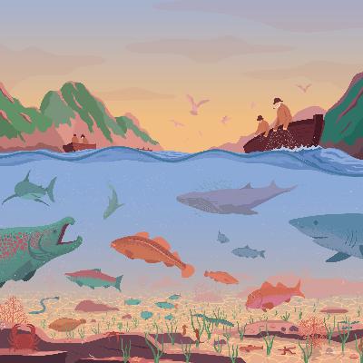 Episode 6: the Ulster Shark Coast Episode 6: the Ulster Shark Coast