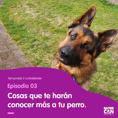 10 cosas que no sabías de tu mejor amigo. 10 cosas que no sabías de tu mejor amigo.