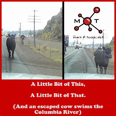 A Little Bit of This, A Little Bit of That A Little Bit of This, A Little Bit of That