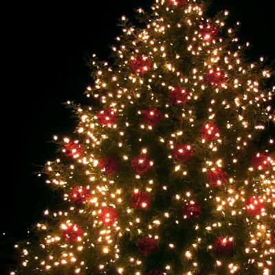 Les sens du beau - D'Anna Finot et Lise Gaeta