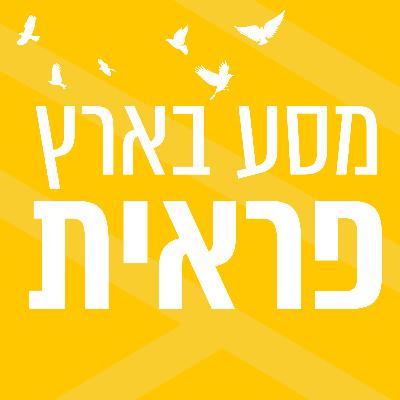 מסע בארץ פראית | מיכל גפן