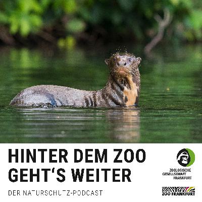 Marco in Peru: Der Manu-Nationalpark, Hotspot der Artenvielfalt