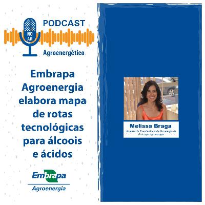 Mapas de Rotas Tecnológicas - Melissa Braga